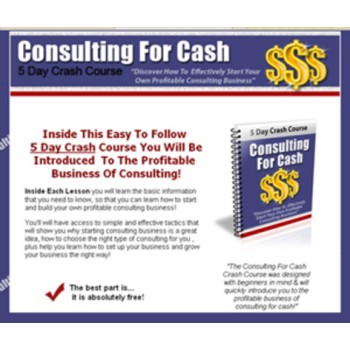 Consulting For Cash PLR Crash Course